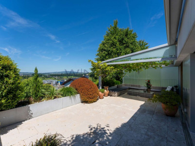 Ewiger Sommer-Traum image 2
