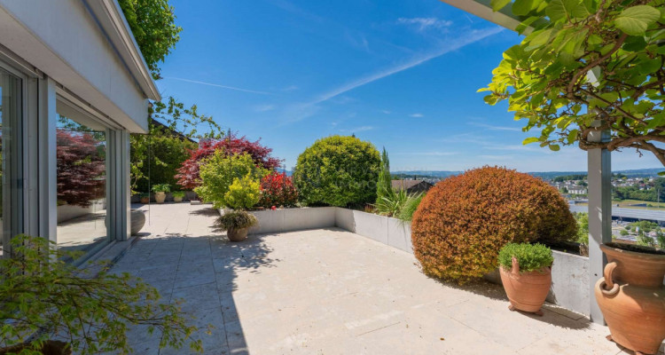 Ewiger Sommer-Traum image 1