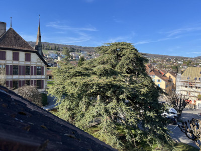 Conjuguer habitation, activité libérale ou investissement à deux pas du lac image 5