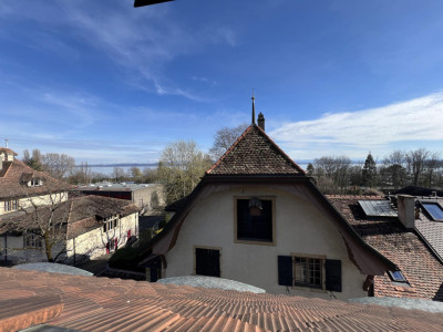 Conjuguer habitation, activité libérale ou investissement à deux pas du lac image 4