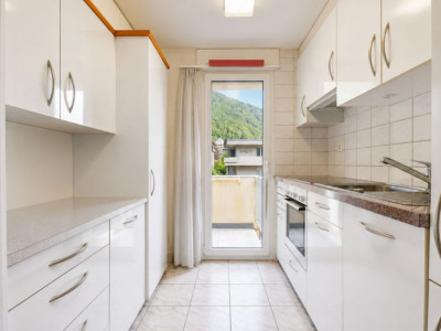 Attique lumineux avec balcon et vue verdure image 1