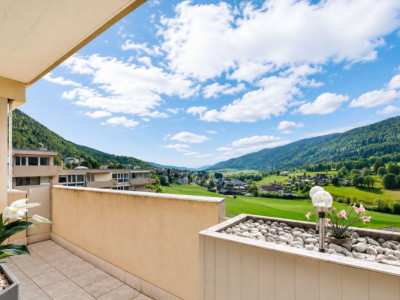 Attique lumineux avec balcon et vue verdure image 10