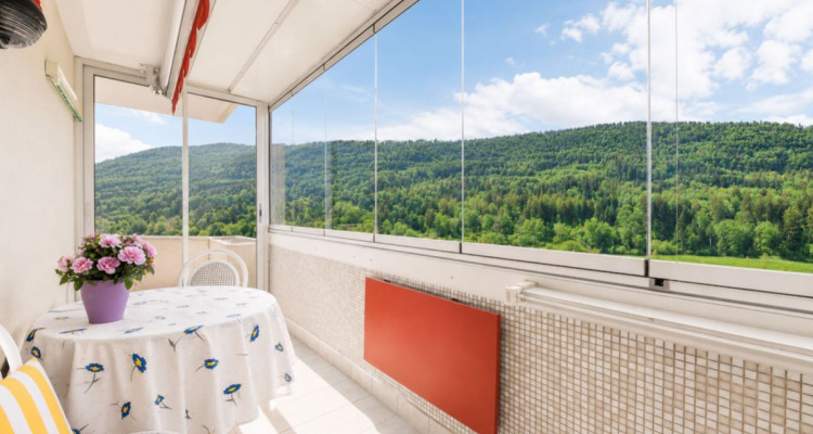 Attique lumineux avec balcon et vue verdure image 9