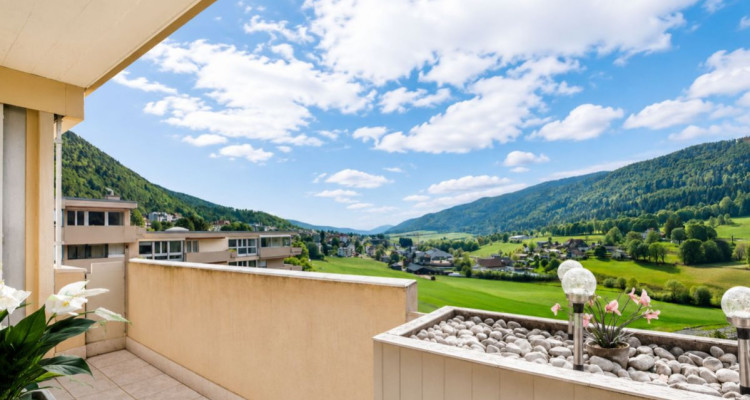 Attique lumineux avec balcon et vue verdure image 10