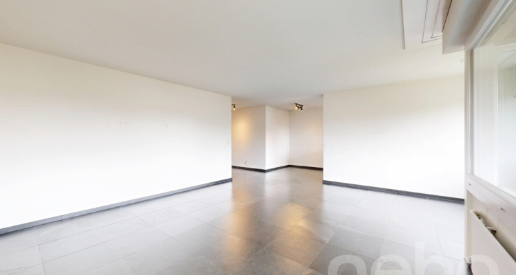 Helle 3.5 Zimmer-Wohnung mit Balkon und Garage in Schönenwerd image 5