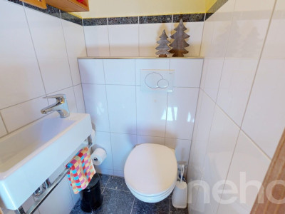 Charmante Dachwohnung mit Bergpanorama in Brigels image 10