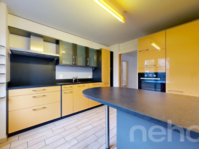 Grand appartement de 4.5 pièces en rez-de-jardin image 4