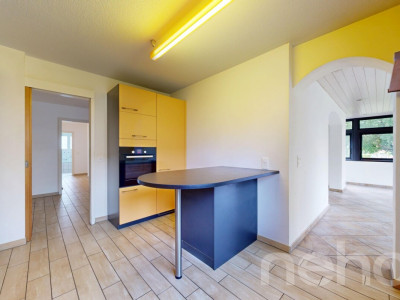 Grand appartement de 4.5 pièces en rez-de-jardin image 12