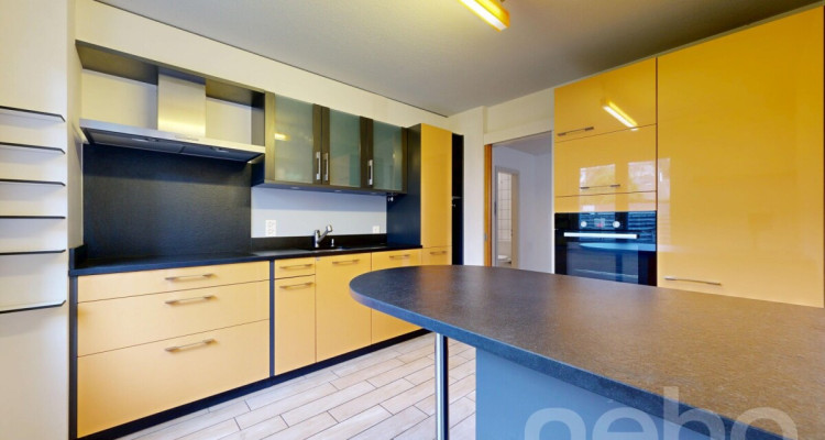 Grand appartement de 4.5 pièces en rez-de-jardin image 4