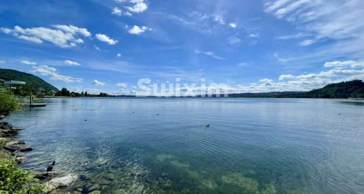 Superbe appartement 3.5 pièces au Landeron à deux pas du lac image 3