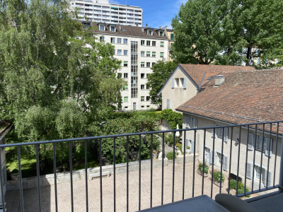 Bel appartement 2 pièces avec grand  balcon à Carouge (Genève)  image 1