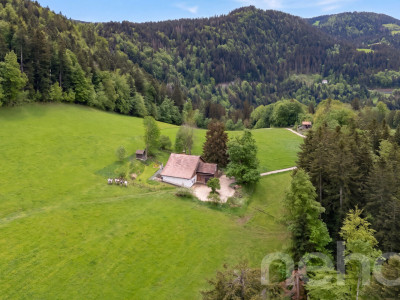 Ferme 1640 rénovée : 2 appts + immense grange à fort potentiel image 3