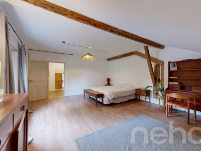 Ferme 1640 rénovée : 2 appts + immense grange à fort potentiel image 9