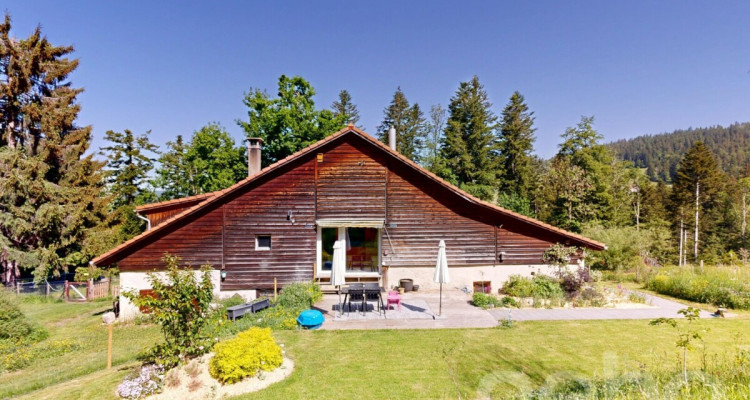 Ferme 1640 rénovée : 2 appts + immense grange à fort potentiel image 1