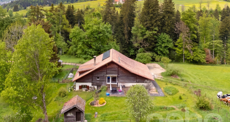 Ferme 1640 rénovée : 2 appts + immense grange à fort potentiel image 2