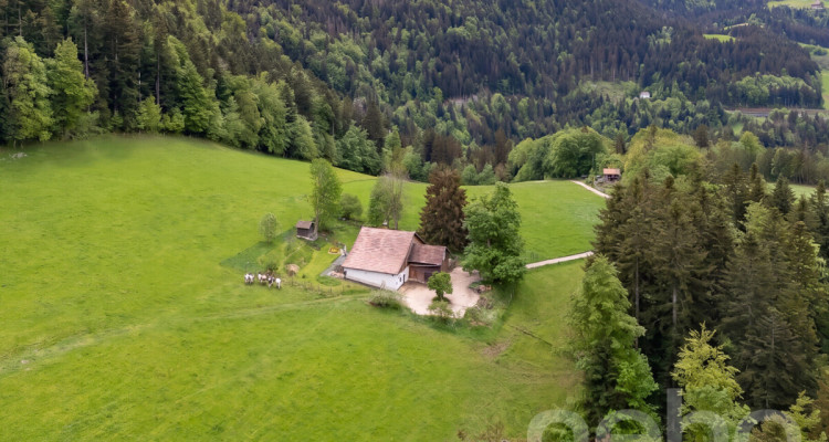Ferme 1640 rénovée : 2 appts + immense grange à fort potentiel image 3
