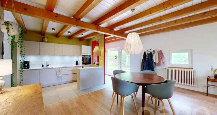 Ferme 1640 rénovée : 2 appts + immense grange à fort potentiel image 8