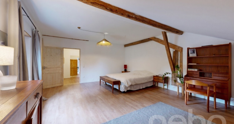 Ferme 1640 rénovée : 2 appts + immense grange à fort potentiel image 9