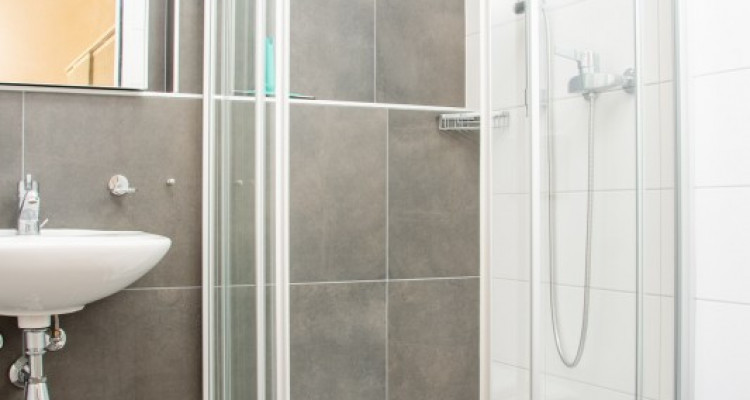 Splendide appartement 4,5 pièces en duplex avec suite en mezzanine image 9