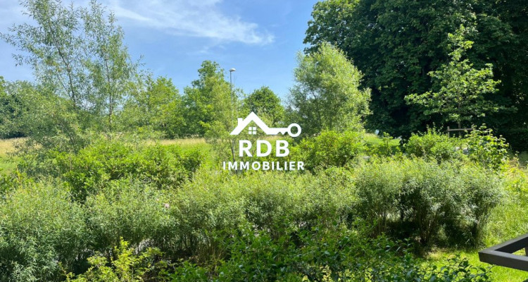 Appartement de 1,5 pièces au RDC situé à Payerne 1530 image 10