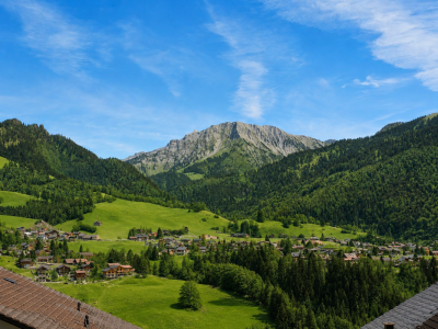 Un jardin face aux montagnes ? 3.5 pièces avec terrasse et vue dégagée à Cerniat image 9