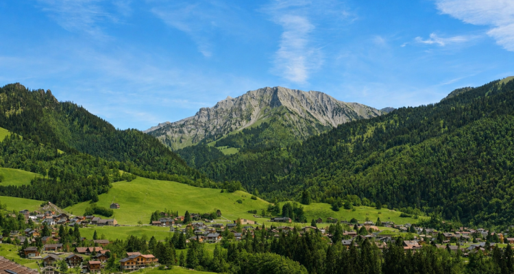 Un jardin face aux montagnes ? 3.5 pièces avec terrasse et vue dégagée à Cerniat image 9