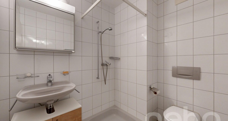 Grosszügige 3.5-Zimmer-Wohnung mit sonniger Terrasse image 5