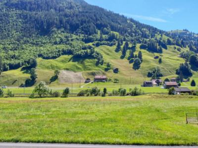 Baulandparzelle mit 5-Zimmer Einfamilienhaus-Vorprojekt im Grünen image 4