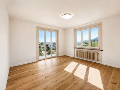 Appartement rénové avec magnifique vue sur le lac et les Alpes image 1