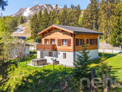 Chalet lumineux avec espace bien-être et accès direct aux pistes image 1