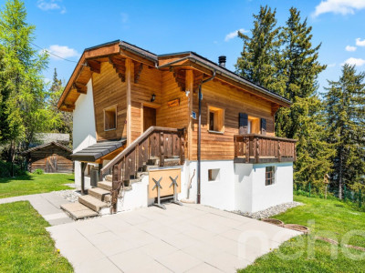 Chalet lumineux avec espace bien-être et accès direct aux pistes image 2