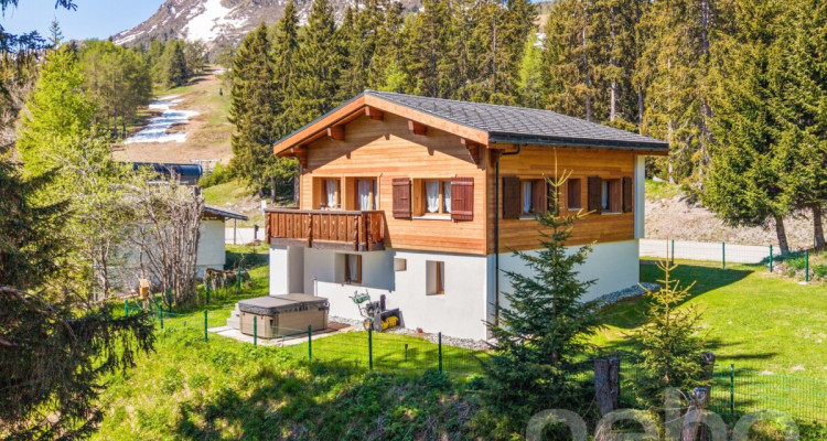 Chalet lumineux avec espace bien-être et accès direct aux pistes image 1