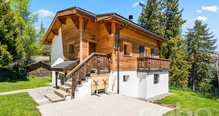 Chalet lumineux avec espace bien-être et accès direct aux pistes image 2