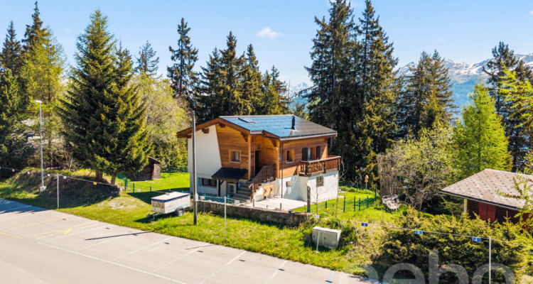 Chalet lumineux avec espace bien-être et accès direct aux pistes image 3