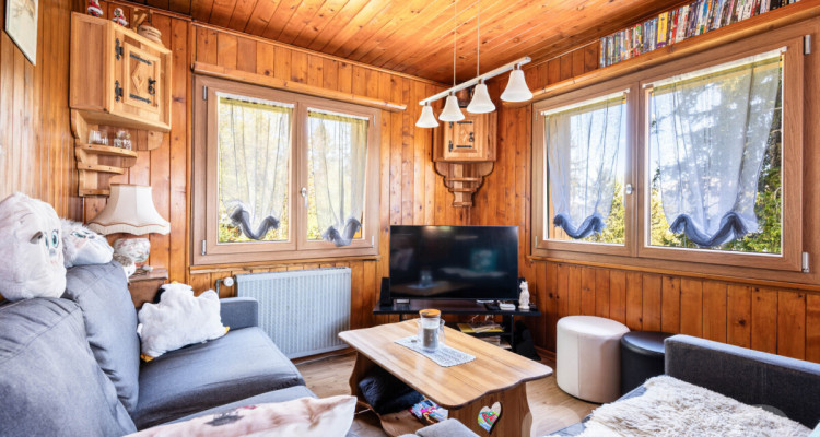 Chalet lumineux avec espace bien-être et accès direct aux pistes image 7