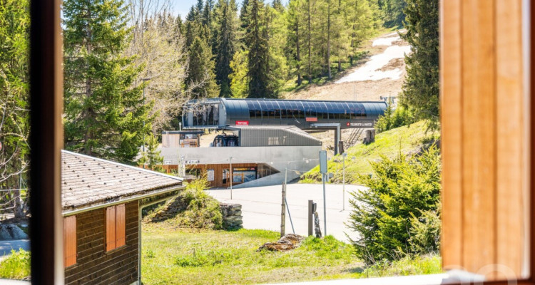 Chalet lumineux avec espace bien-être et accès direct aux pistes image 11