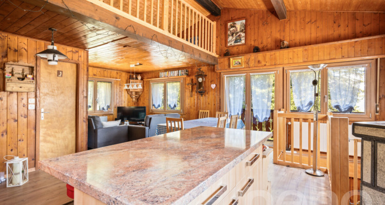 Chalet lumineux avec espace bien-être et accès direct aux pistes image 12