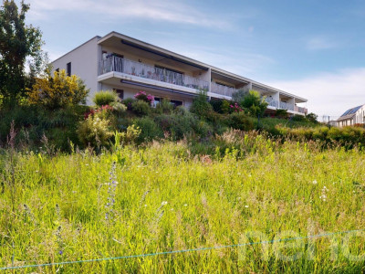 Magnifique appartement avec terrasse au calme absolu à Bussigny image 1