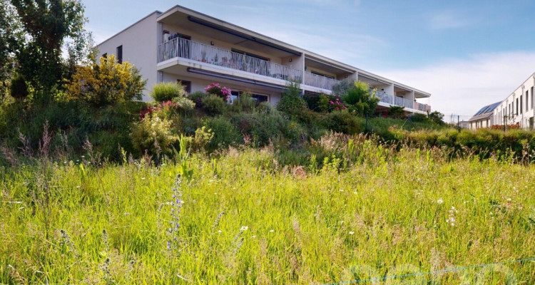 Magnifique appartement avec terrasse au calme absolu à Bussigny image 1