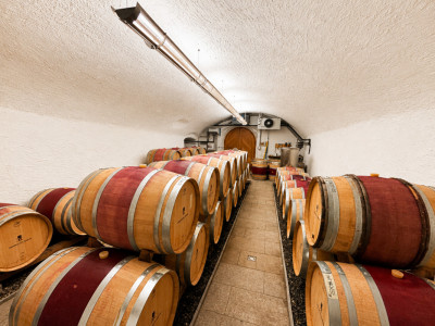 Surface commerciale atypique de 326 m² au cœur du vignoble dAigle image 6