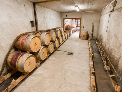 Surface commerciale atypique de 326 m² au cœur du vignoble dAigle image 9