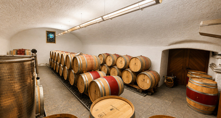 Surface commerciale atypique de 326 m² au cœur du vignoble dAigle image 5