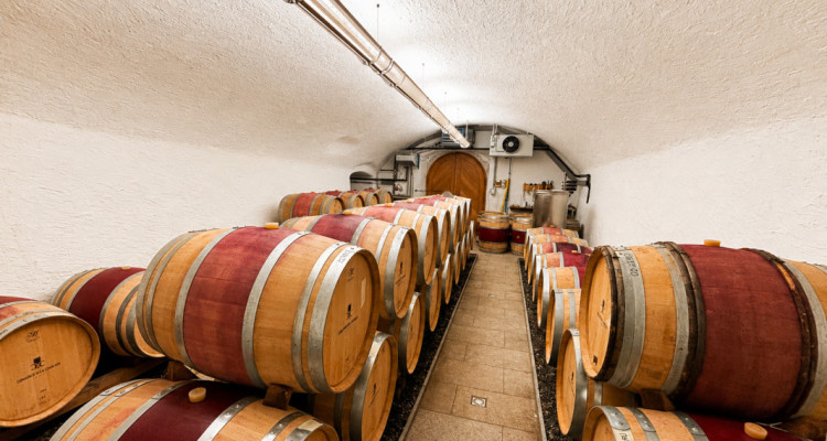 Surface commerciale atypique de 326 m² au cœur du vignoble dAigle image 6