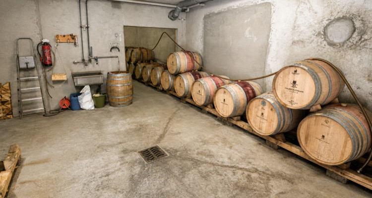 Surface commerciale atypique de 326 m² au cœur du vignoble dAigle image 8