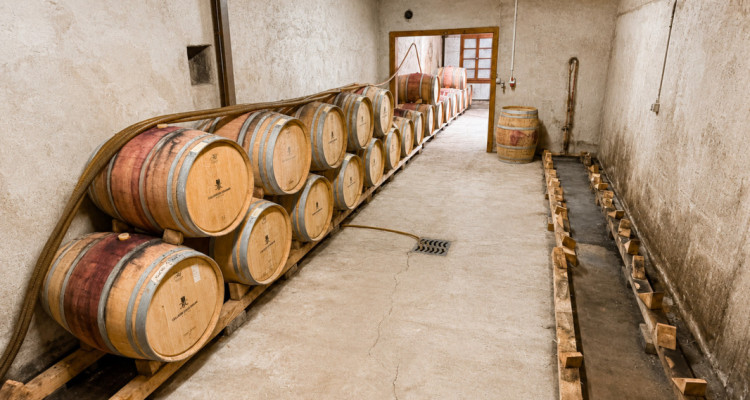 Surface commerciale atypique de 326 m² au cœur du vignoble dAigle image 9