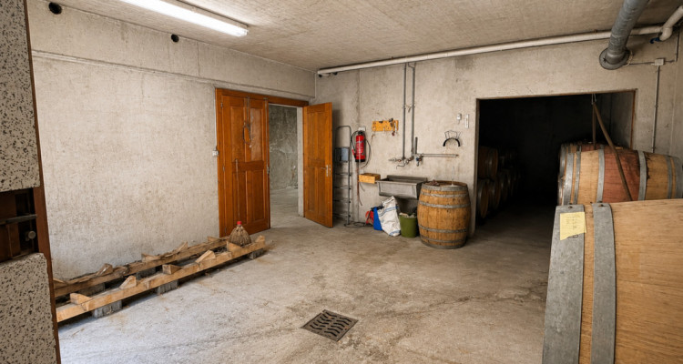 Surface commerciale atypique de 326 m² au cœur du vignoble dAigle image 10
