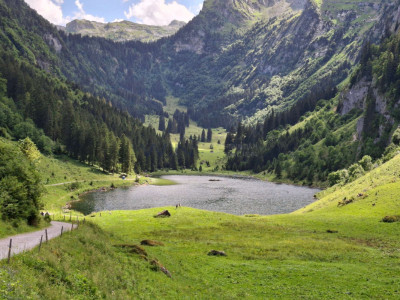 Wohnen, wo andere Ferien machen -sonnig und modern image 3