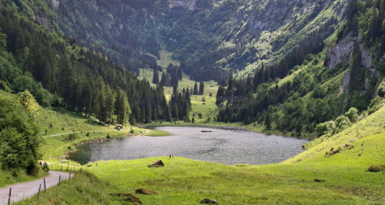 Wohnen, wo andere Ferien machen -sonnig und modern image 3