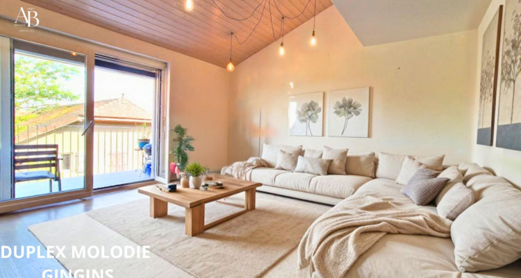 Duplex Melodie, idéalement situé à Gingins, à seulement 5 minutes de Nyon image 1