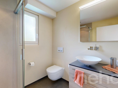 Unverbaubares Panorama: Exklusives 5.5-Zimmer-Einfamilienhaus mit Pool image 7